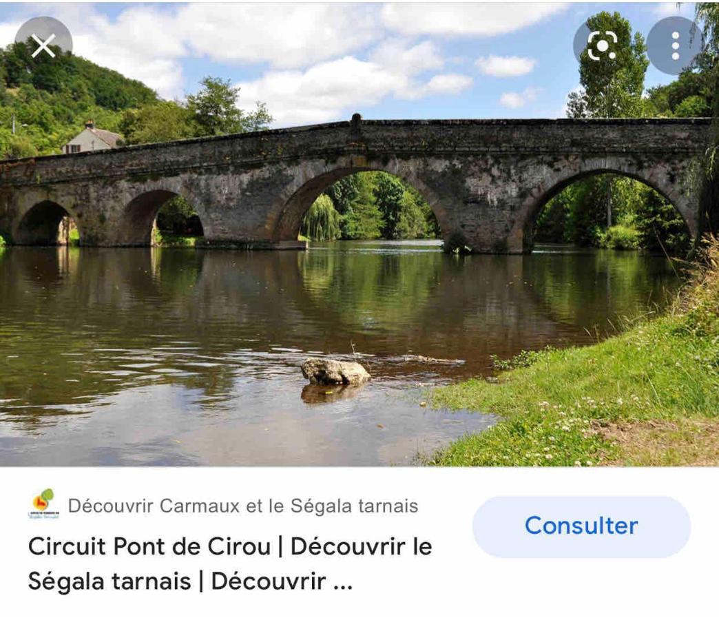 Le Gite De Las Peyros Mirandol-Bourgnounac エクステリア 写真